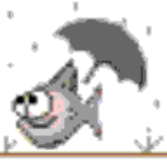 Yatrafish Application