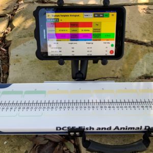 Big Fin Scientific DCSLinkstream