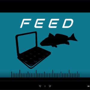 FEED - Fisheries Environment for Electronic Data