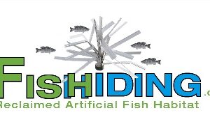 Fishiding