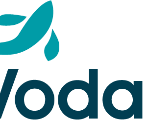 VodaIQ